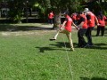 Tn 0181 DSC 5482